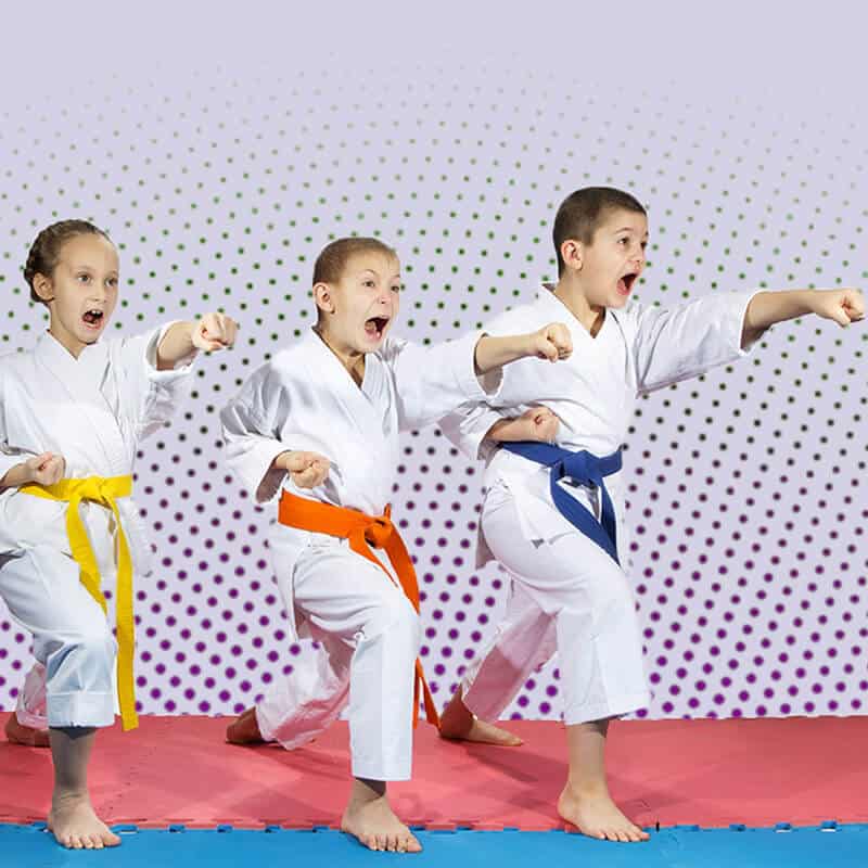 Martial Arts Lessons for Kids in Zephyrhills FL - Punching Focus Kids Sync